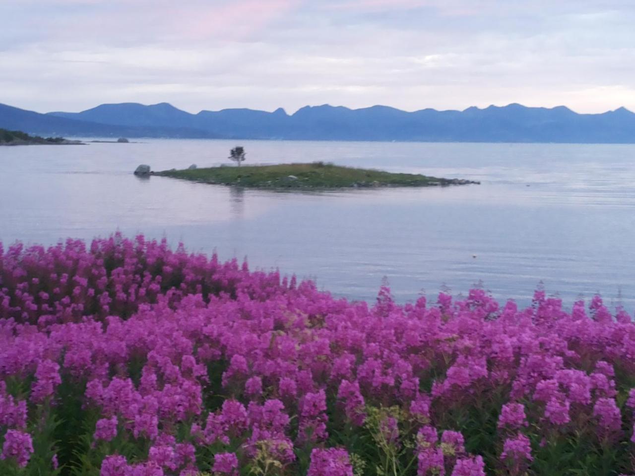 Prima Lofoten Myrland Exterior photo