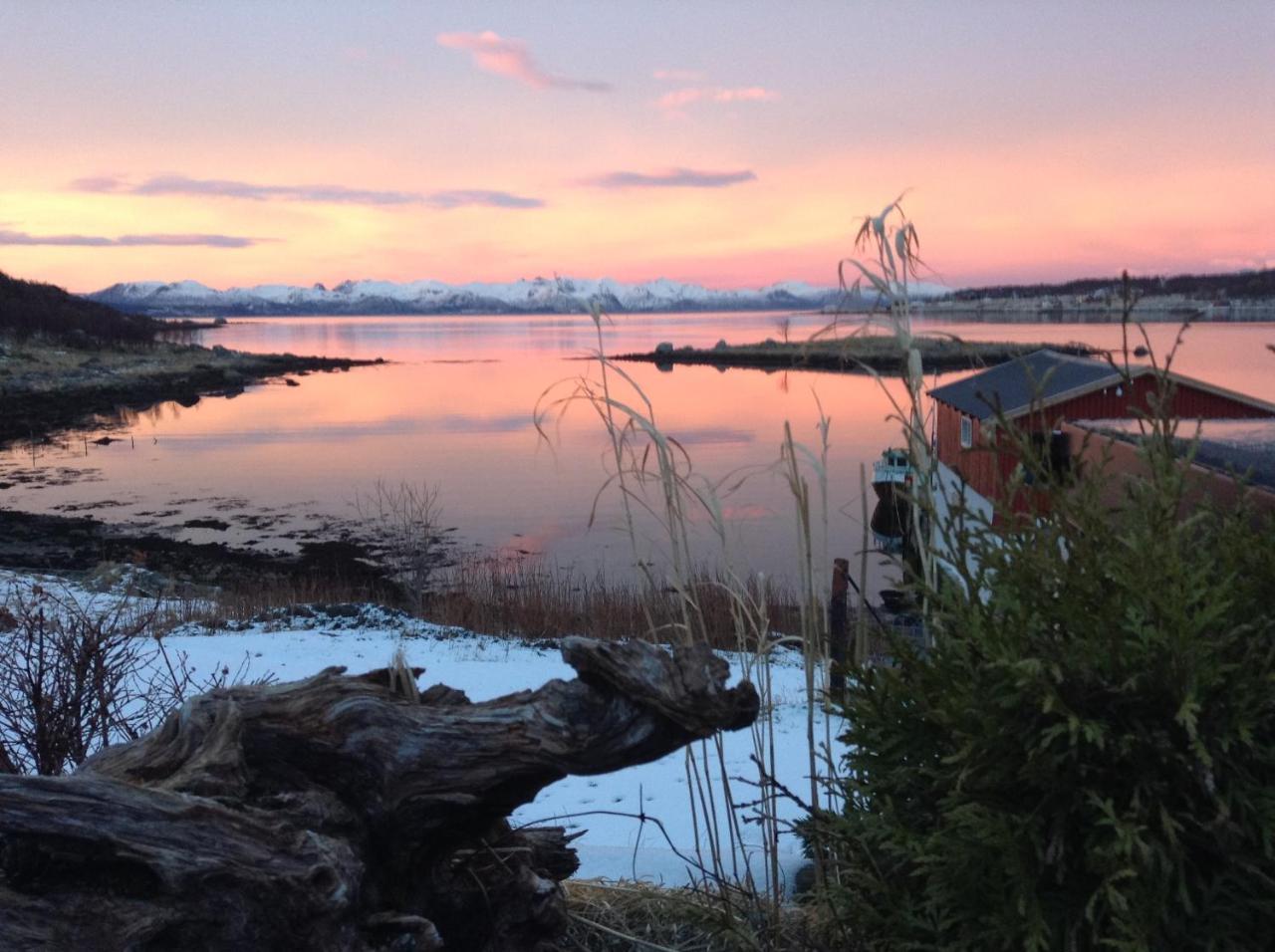Prima Lofoten Myrland Exterior photo