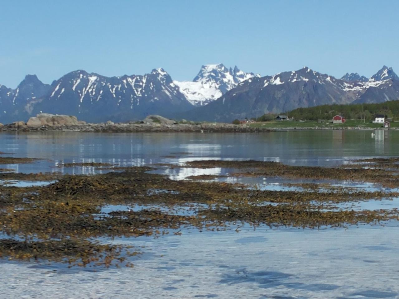 Prima Lofoten Myrland Exterior photo